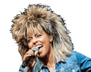 Image of Tina Turner